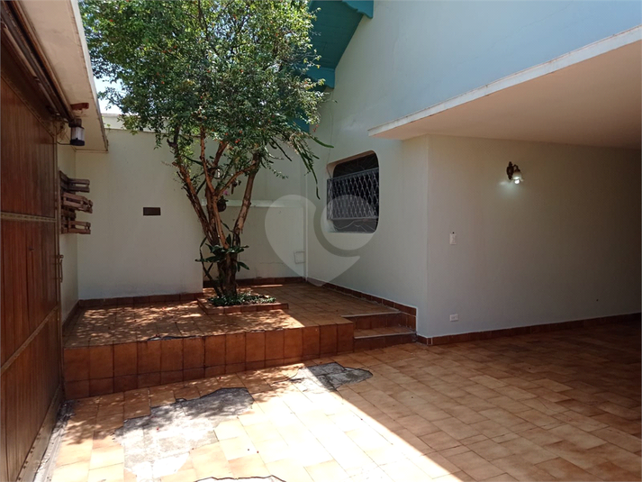 Foto REO1095339