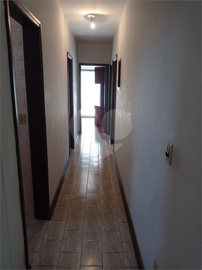 Foto REO1095339
