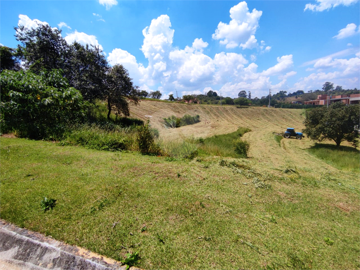 Foto REO1095342