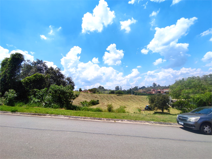 Foto REO1095342