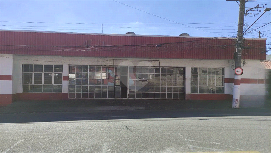 Foto REO1095345
