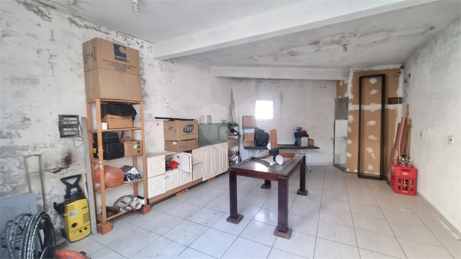 Foto REO1095353