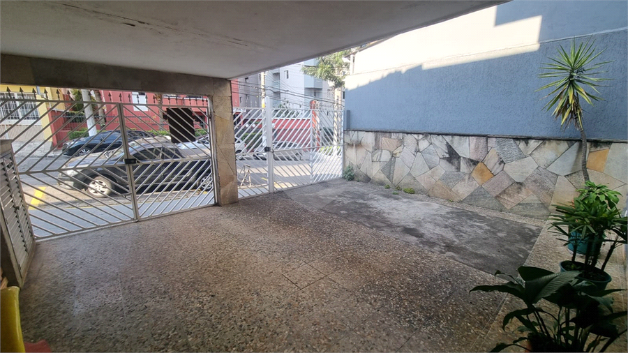 Foto REO1095353