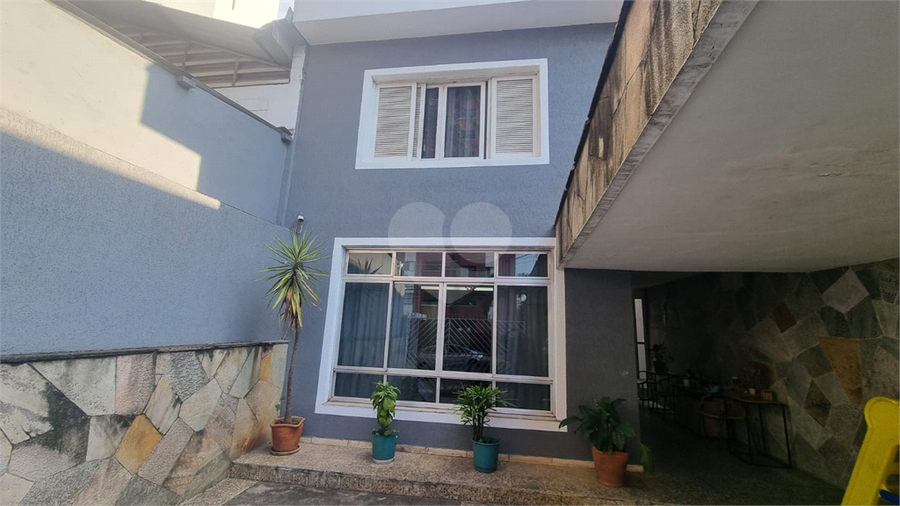 Foto REO1095353