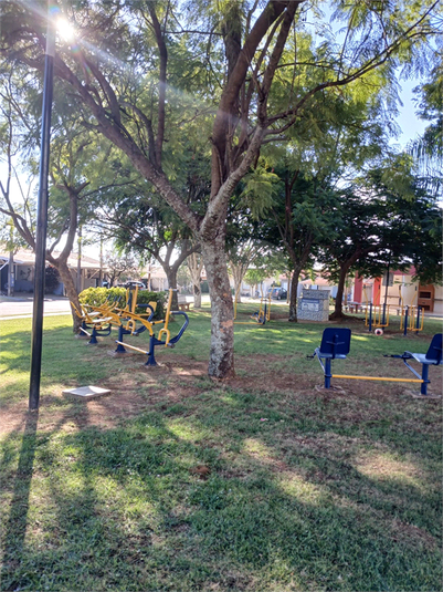 Foto REO1095354