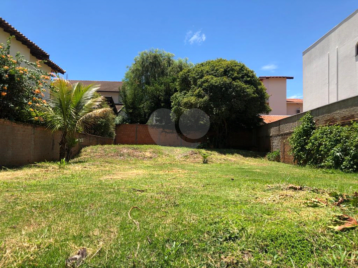 Foto REO1095355