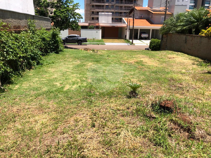 Foto REO1095355