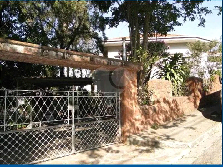 Foto REO1095356
