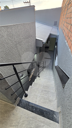 Foto REO1095358