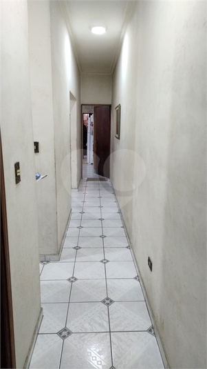 Foto REO1095360