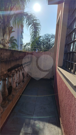 Foto REO1095360