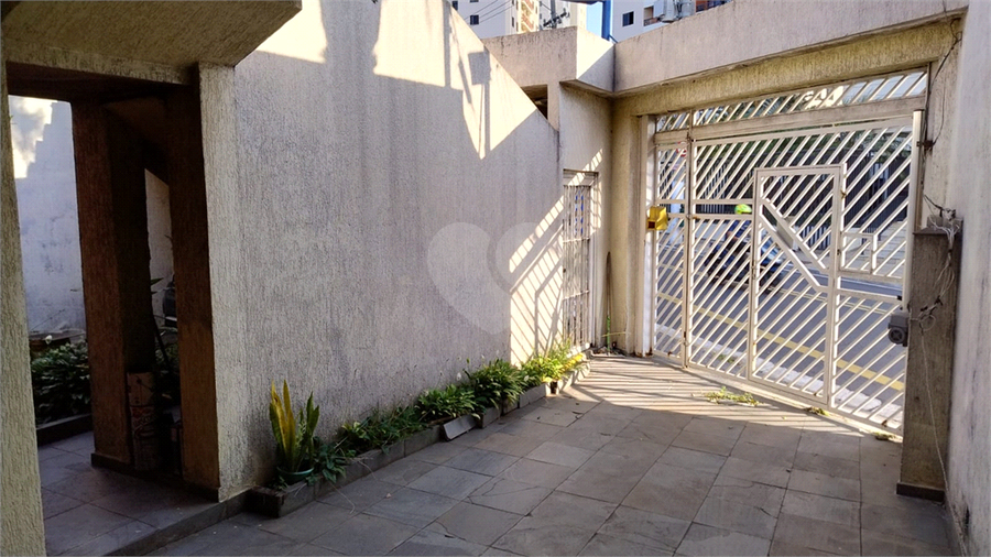 Foto REO1095360