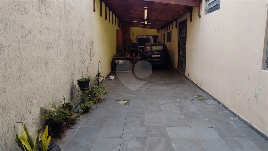 Foto REO1095360