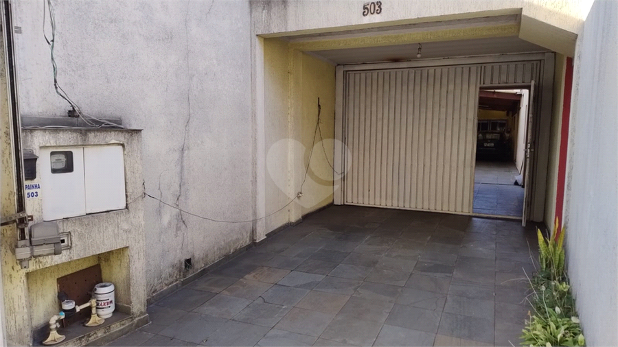 Foto REO1095360