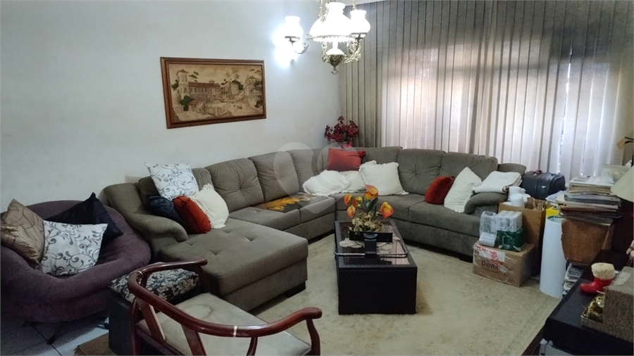 Foto REO1095360