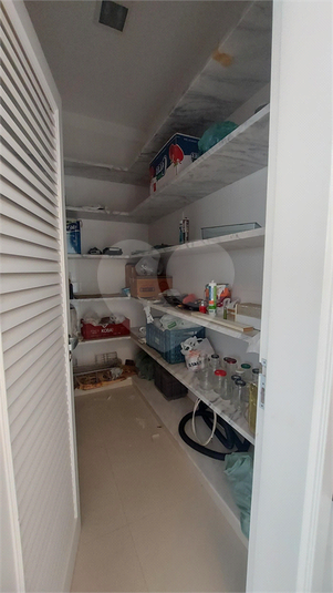 Foto REO1095367
