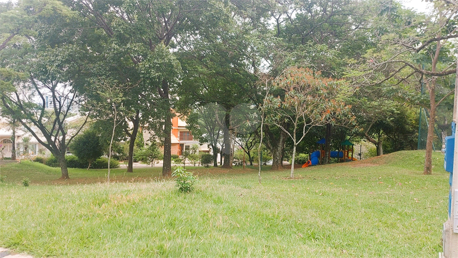 Foto REO1095367