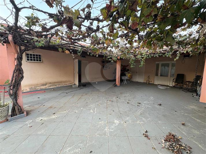 Foto REO1095370