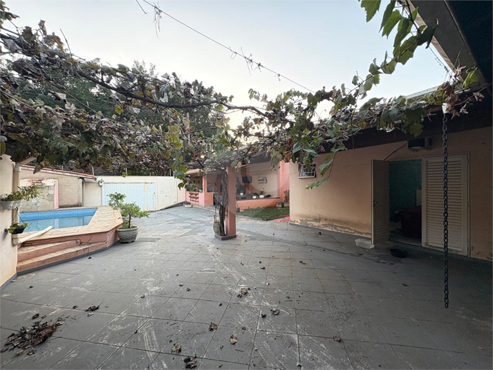 Foto REO1095370