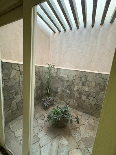 Foto REO1095370