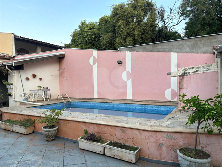 Foto REO1095370