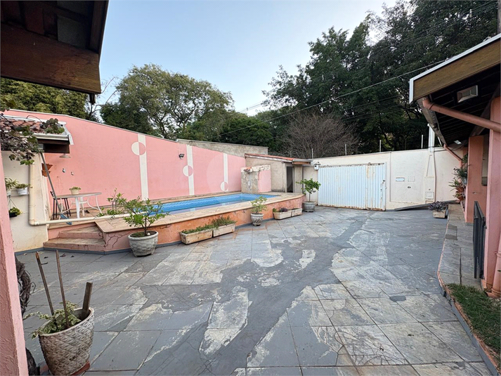 Foto REO1095370