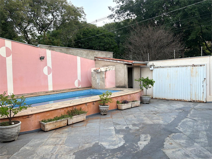 Foto REO1095370