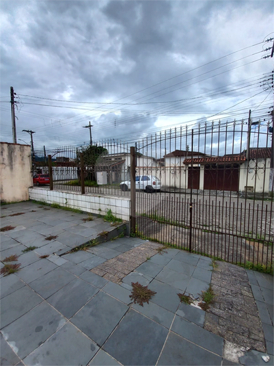 Foto REO1095377