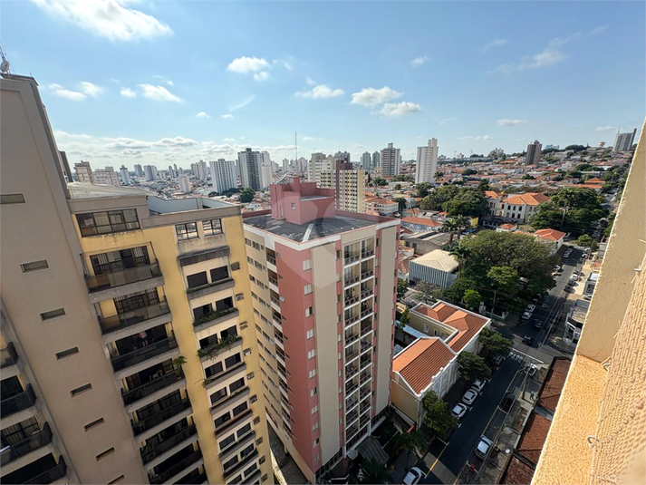 Foto REO1095379