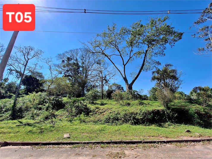 Foto REO1095387