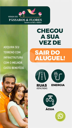 Foto REO1095387