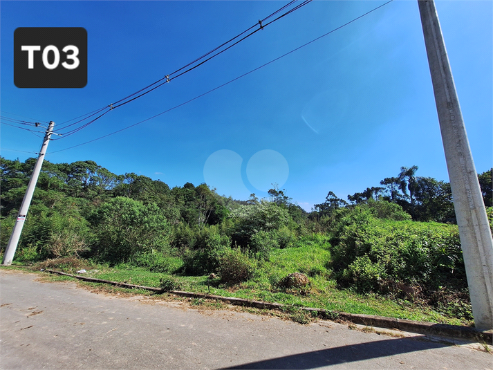 Foto REO1095387