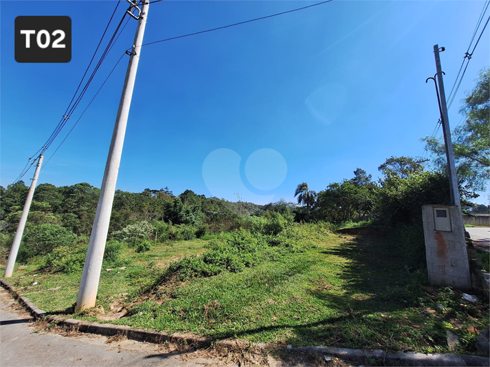 Foto REO1095387