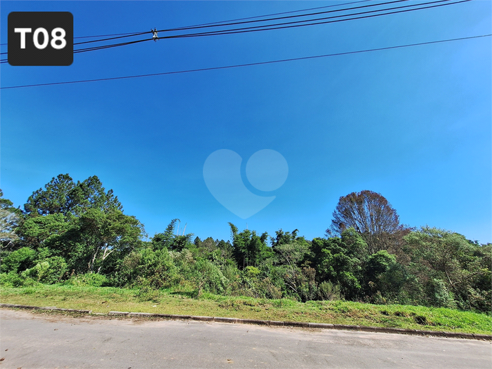 Foto REO1095387