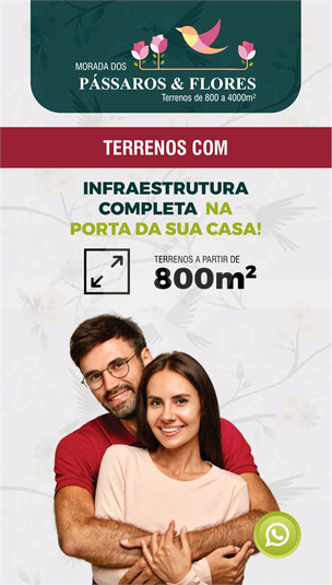 Foto REO1095387