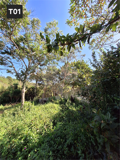 Foto REO1095387