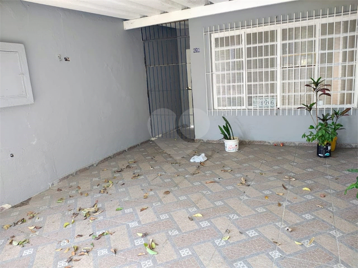 Foto REO1095391