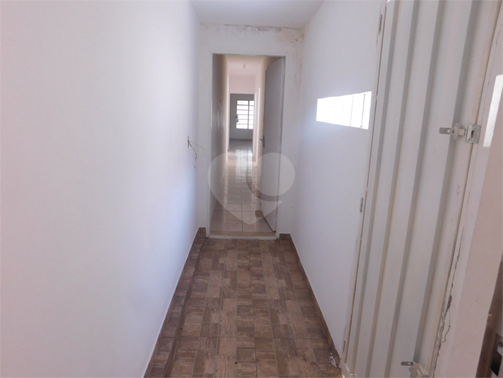 Foto REO1095391