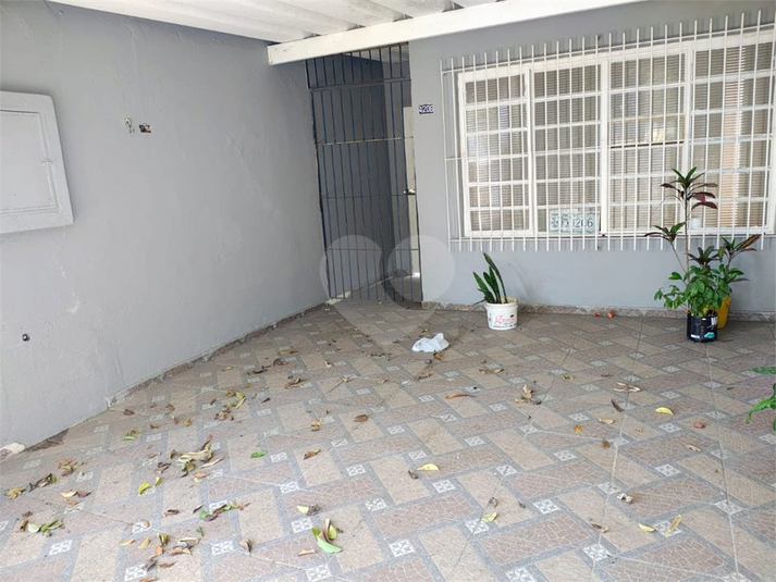 Foto REO1095391