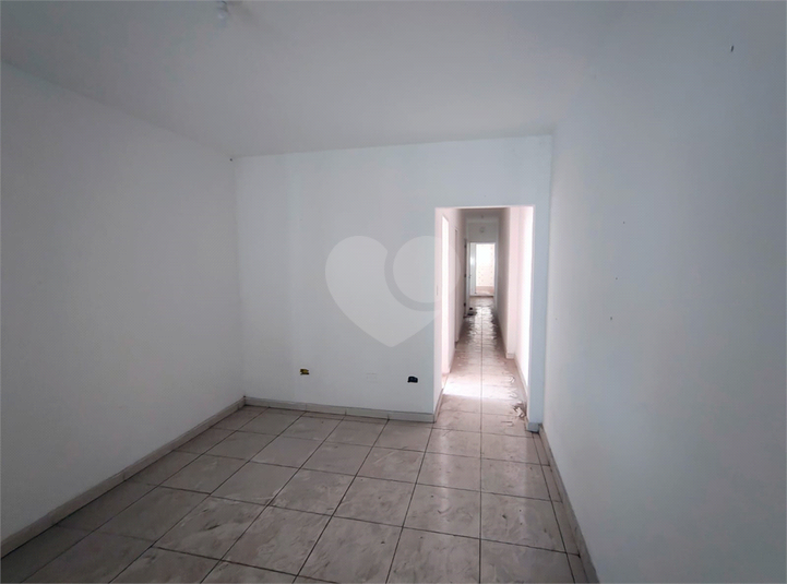 Foto REO1095391