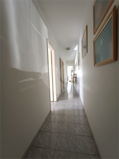 Foto REO1095401