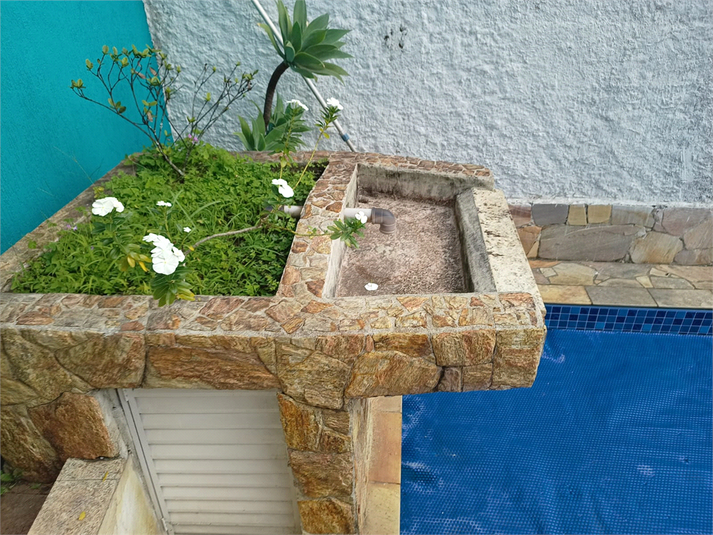 Foto REO1095401