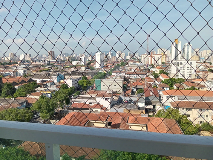 Foto REO1095405