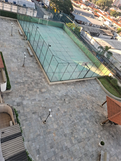 Foto REO1095408