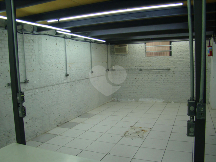 Foto REO1095412