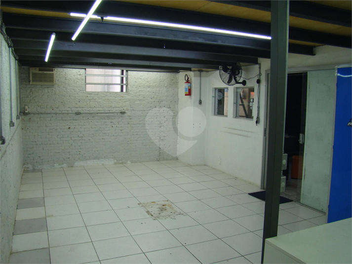 Foto REO1095412