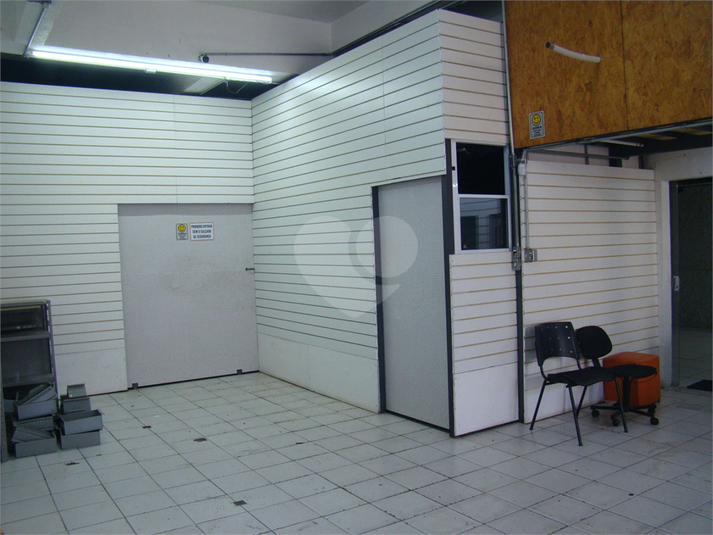 Foto REO1095412