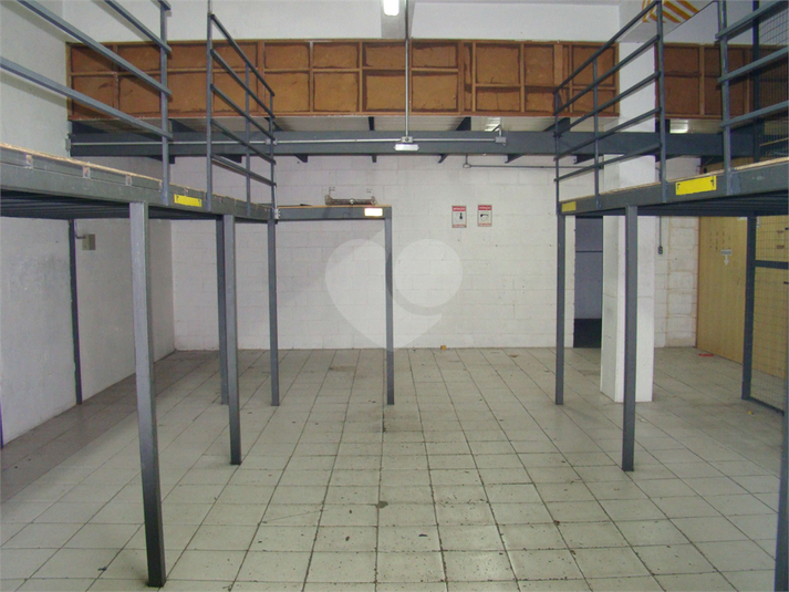 Foto REO1095412