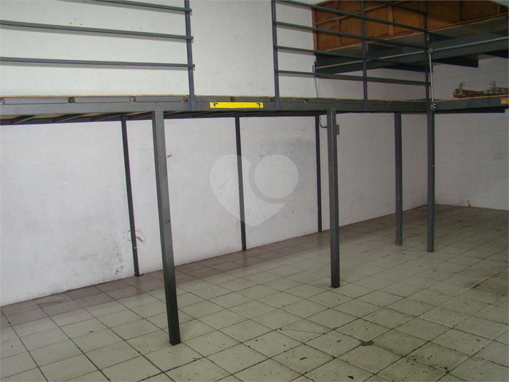 Foto REO1095412