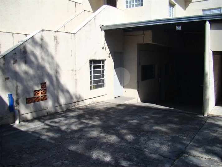 Foto REO1095412
